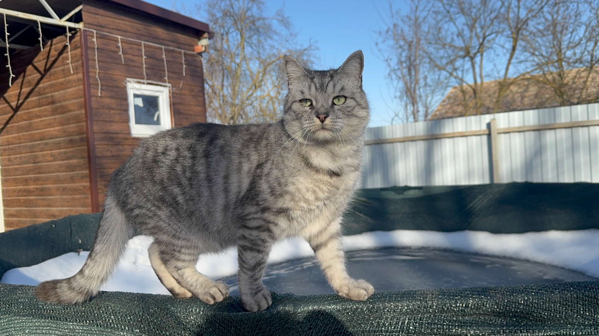 ❤️Не отпускает и время не лечит/ Работа под навесом/ Паста Амосова( в описании) смотреть онлайн