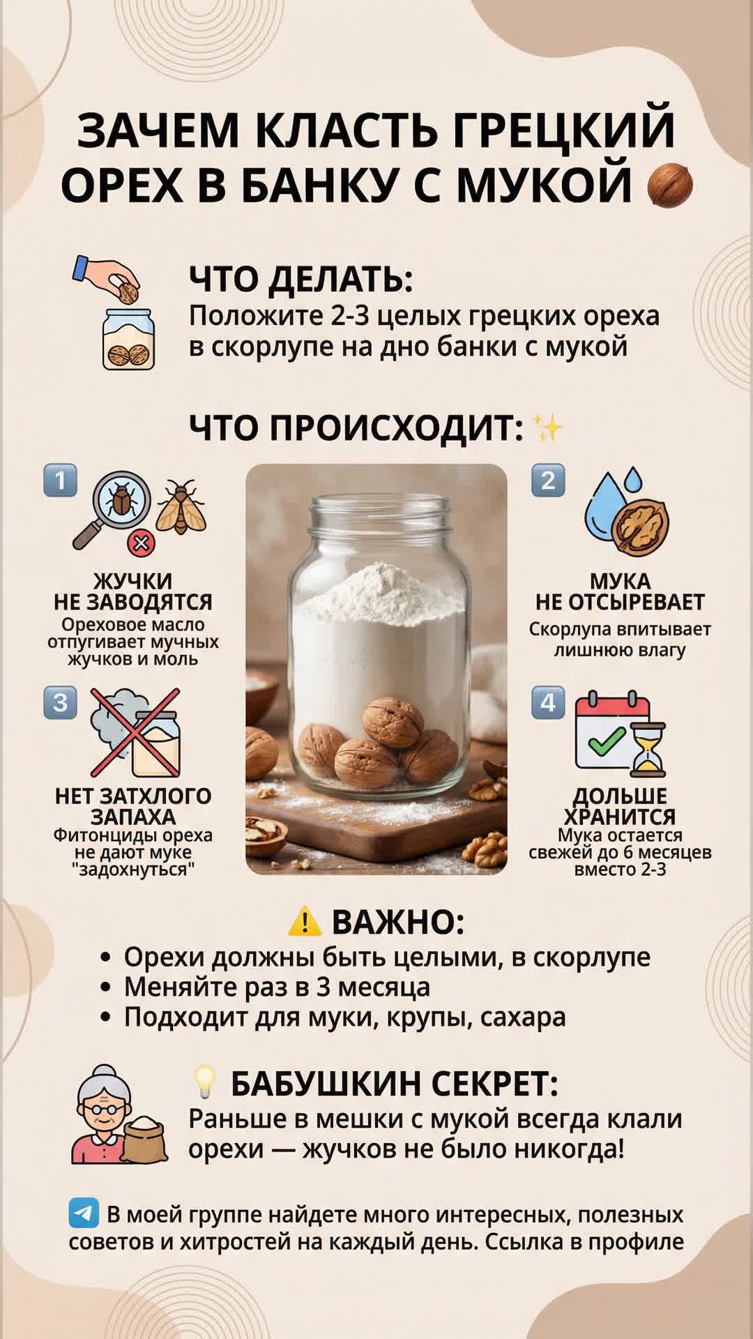 Зачем класть грецкий орех в банку с мукой