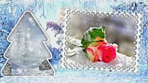 Розы в Зимнюю пору 1 от Киностудии Мудрого Кота Тимофея!