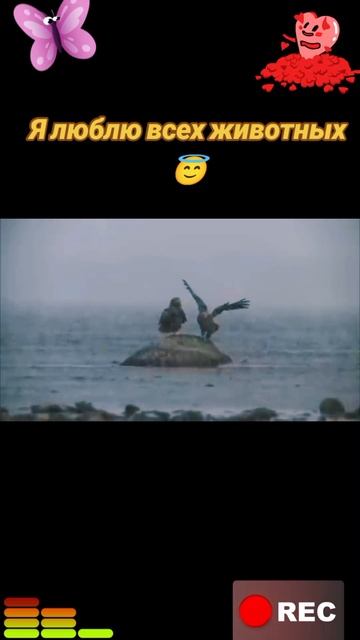 Я люблю всех животных😇 смотреть онлайн