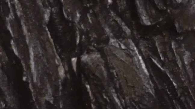 скала в интерьере