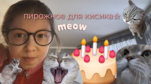 СДЕЛАЛА ПИРОЖНОЕ ДЛЯ СВОЕЙ КОШКИ МЕРСИК 🥞 рецепт мой собственный