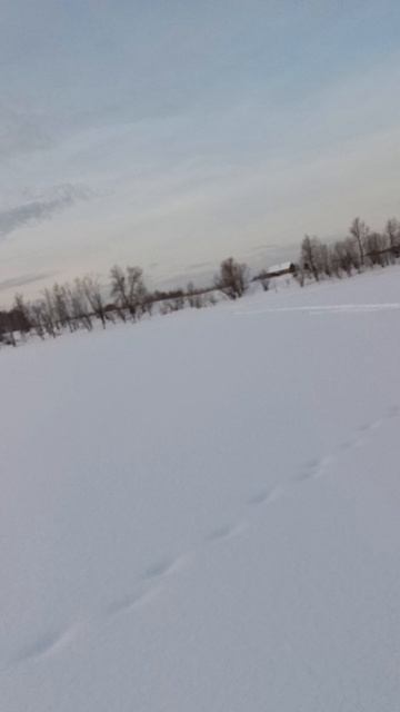 Где рыба?! 😁 #батя