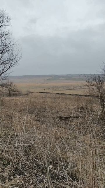 02.02.2026 #сегоднятак #природа #прырода #табиғ #自然 #natureza #natura #자연 #طبيعة #प्रकृति #nature