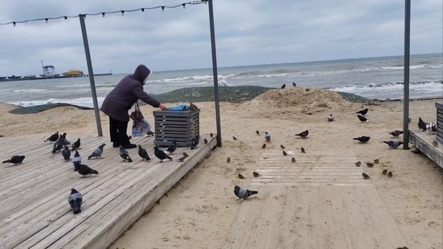 Центральный пляж Шторм Анапа 1 февраля #русскоеморе #анапа2026 смотреть онлайн