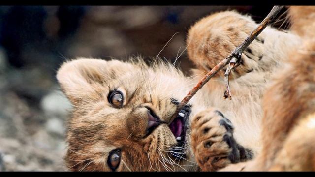 Природный продукт