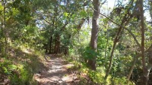 ЛУЧШИЙ ПЛЯЖНЫЙ ГОРОД АВСТРАЛИИ - За что все обожают Берли-Хедс