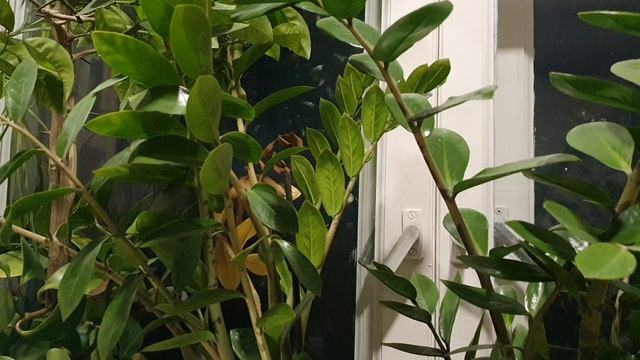 Уходя в голубую даль... смотреть онлайн