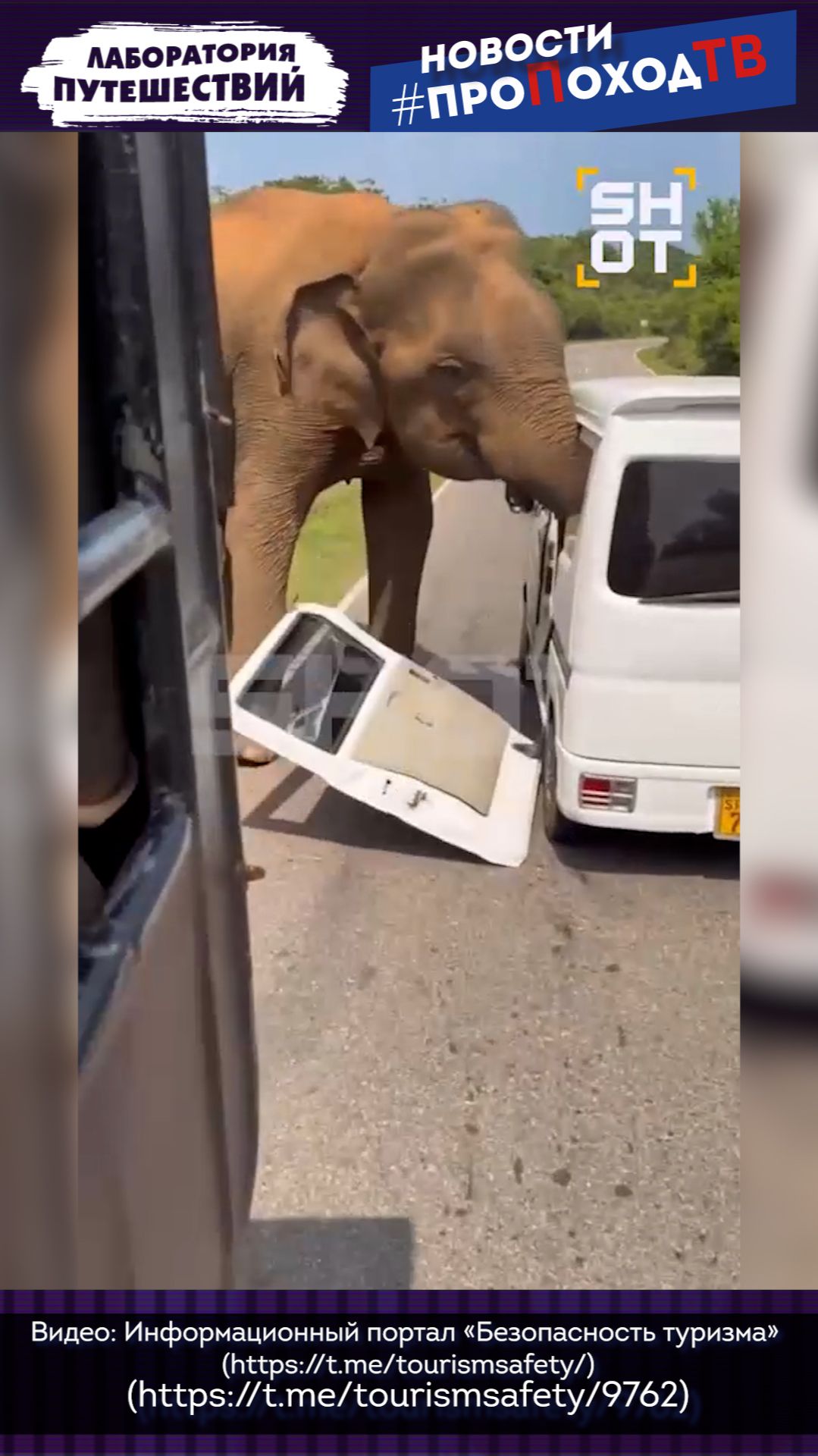 Нападение слона на Шри-Ланке: туристы не пострадали смотреть онлайн