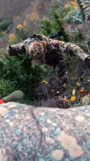 В ПОИСКАХ КОРСИКАНСКОГО МУФЛОНА 🍖‼️#охота #трофейнаяохота #горнаяохота #фильм смотреть онлайн