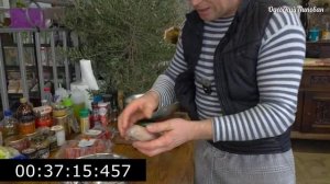 Классный способ приготовления рыбы. Салака, Одесский Рецепт, Бельё тёти Сони