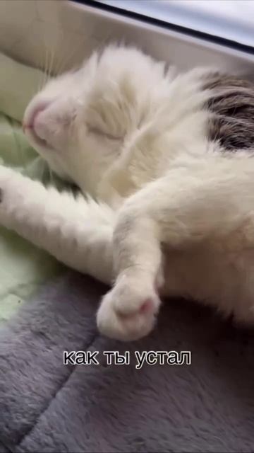 Выход — НОЙ