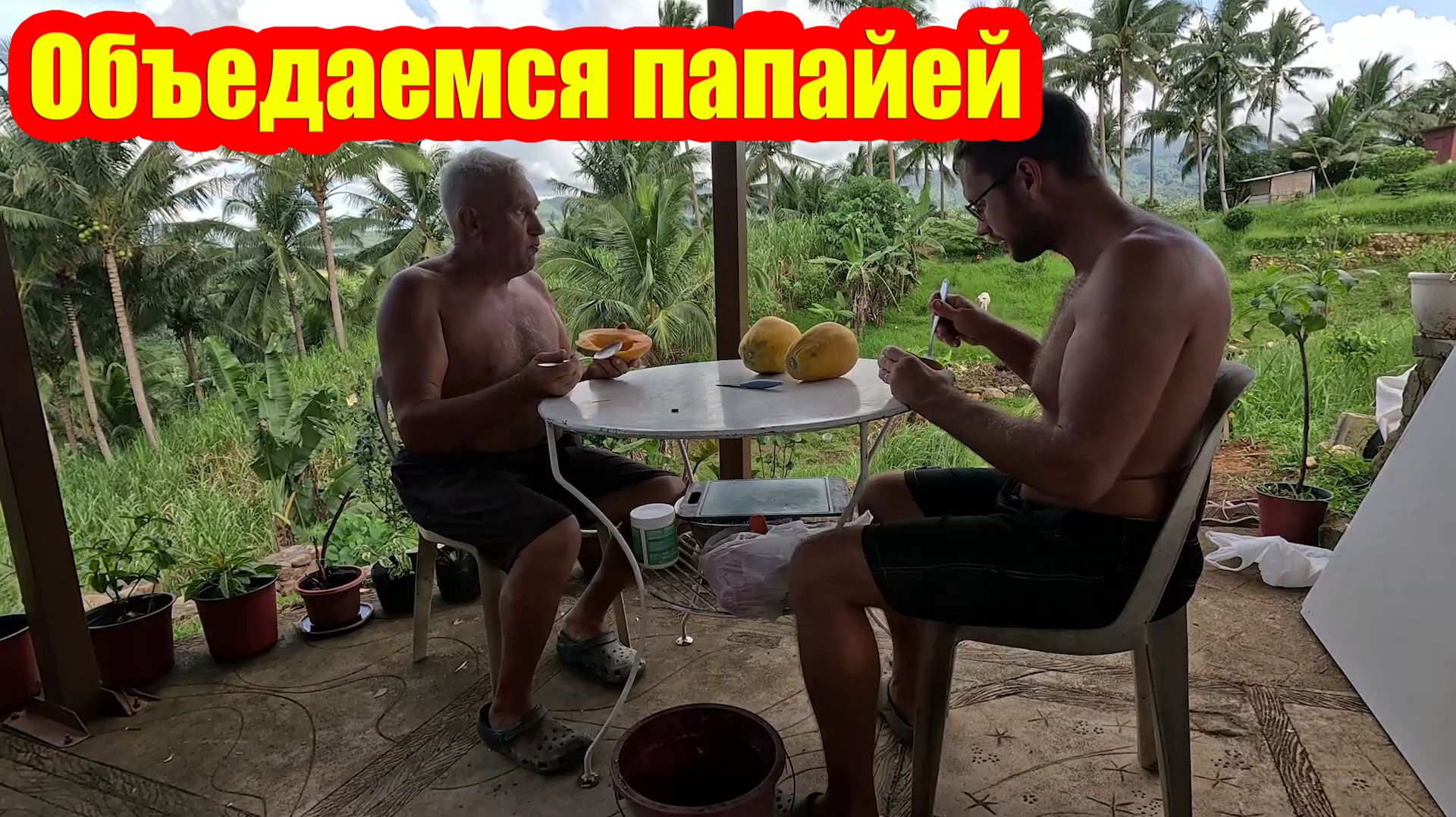 Отец Сергей и Сын Иван | Визит гостей | Батя делает душевую | Наедаемся нашей папайей смотреть онлайн