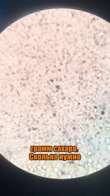 🤔Когда начинать шпунтовать пиво?