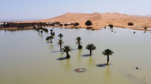 Около 50 тыс. человек покинули Эль-Ксар-эль-Кебир в Марокко из-за наводнений