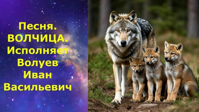 1434.6.В.Ю. Клип. Песня. ВОЛЧИЦА. Исполняет Волуев И.В. смотреть онлайн