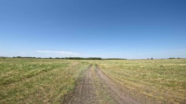 Лето, степь. Прогулка по стенной дороге