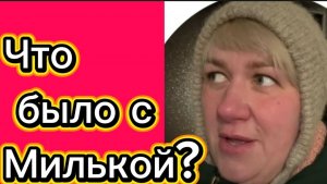 Что произошло с Милей? 🤡Деревенский дневник.