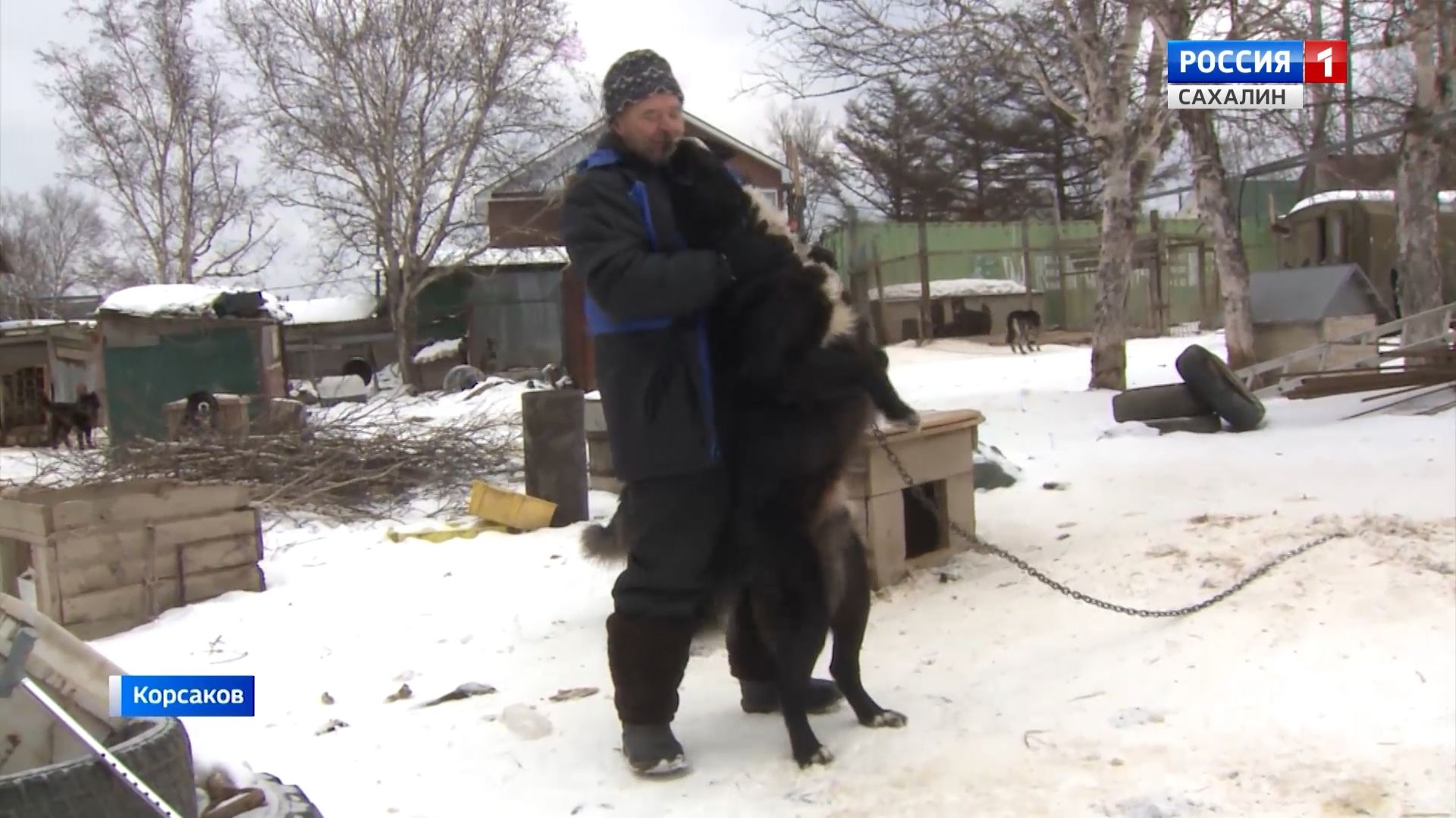 "Вести. Сахалин. Курилы". 31 января 2026 года смотреть онлайн