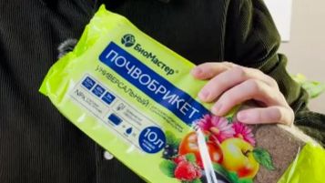 Готовим почвогрунт для мелкосеменных цветов_почвобрикет