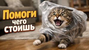 Смех до слёз: лучшие приколы №236