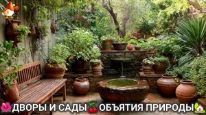 Дворы и сады 🍒 идеи оформления дачи в объятиях природы 🏡 (5) 🏡