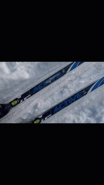 Спорт без «подходящего момента»: почему я не жду понедельника