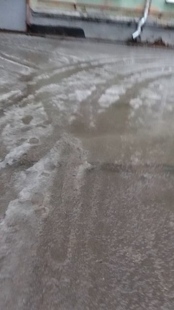 №1104 Двор П. Осипенко 48. 22 ноября 2025 г., 16:05:58 VID_20251122_160452014