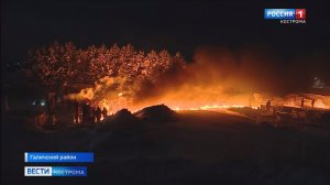 Студенты учинили в Костромской области Древолюцию – с помощью льда и огня