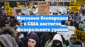 Массовые беспорядки в США достигли федерального уровня