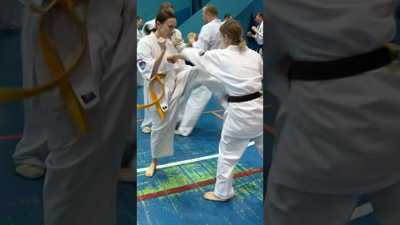 Кёкусинкай / Зимняя Школа ФКР-2026. / Фрагменты тренировок / №33