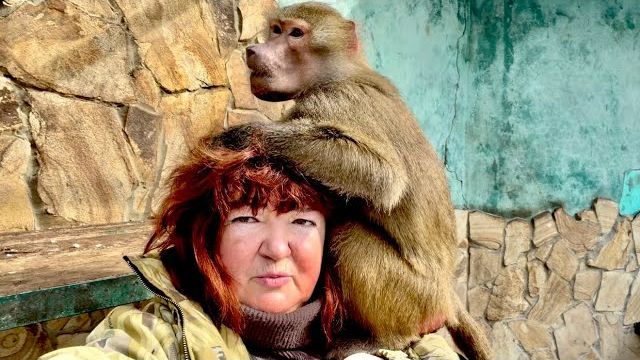 Мы принесли Люсю с Маней в вольер и они устроили себе завтрак на белой скатерти😃 смотреть онлайн