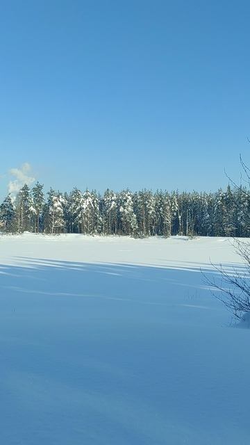 2 Февраля 2026 смотреть онлайн