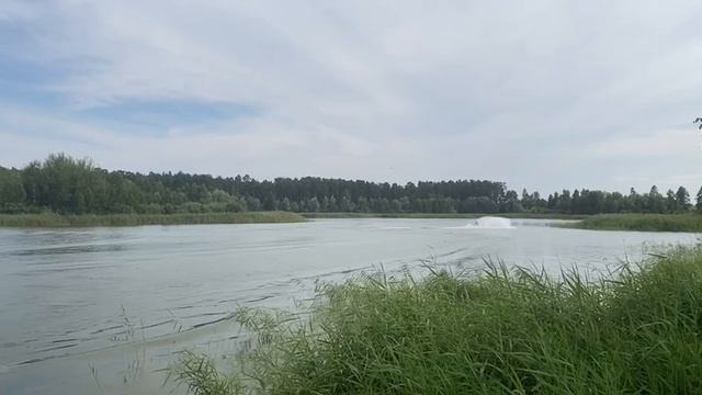 video_2026-02-01_22-20-53 смотреть онлайн