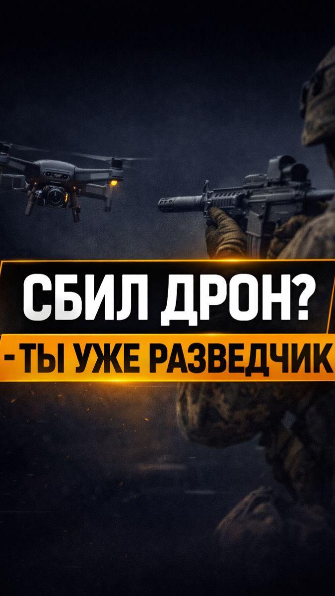 Сбил Дрон