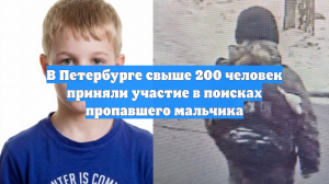 В Петербурге свыше 200 человек приняли участие в поисках пропавшего мальчика