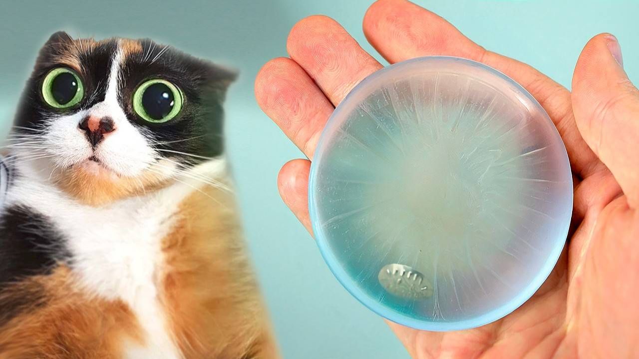 ВОТ ЧТО МЫ КУПИЛИ НА ALIEXPRESS смотреть онлайн