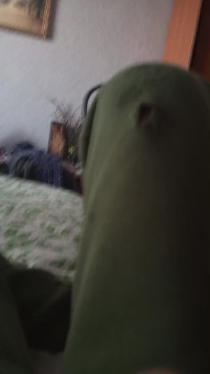 трансляция