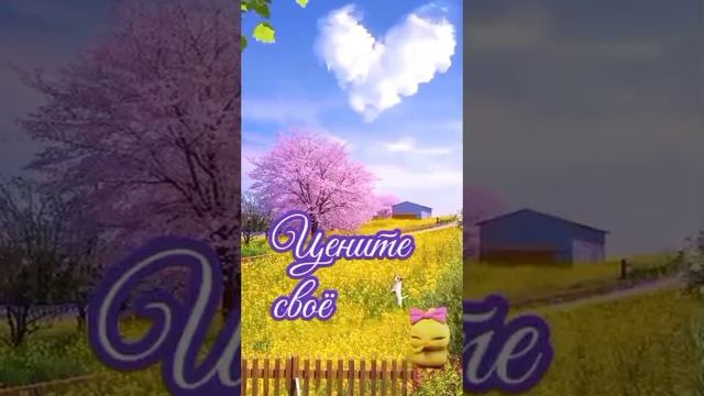 1000009686.mp4 смотреть онлайн