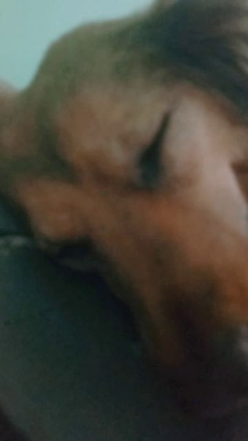 трагедия Лизы