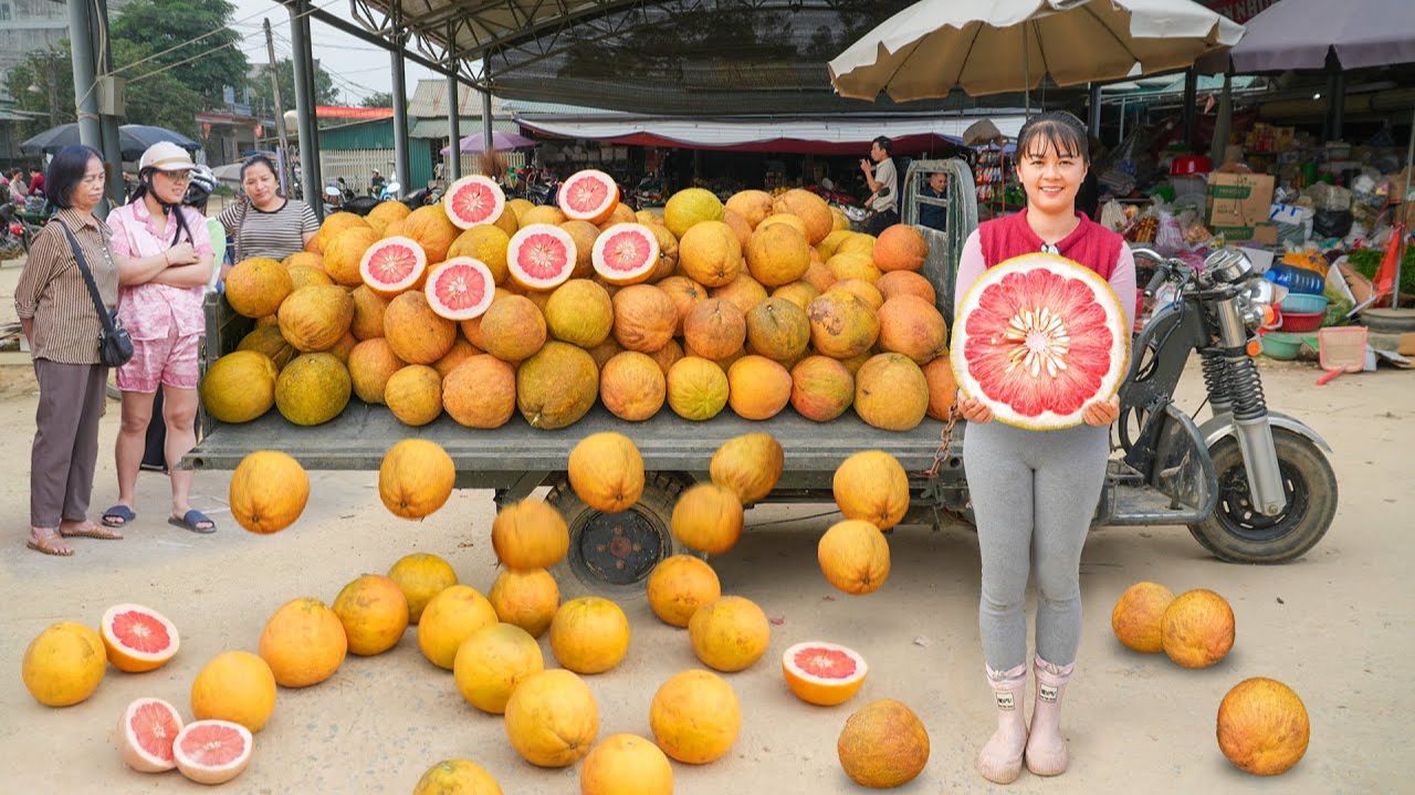 Соберите более 1000 помело с красной мякотью. Везу на местный рынок чтобы продать. смотреть онлайн