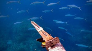 Подводная охота / Огромное косяк рыбы... Будет ли улов богатым!?