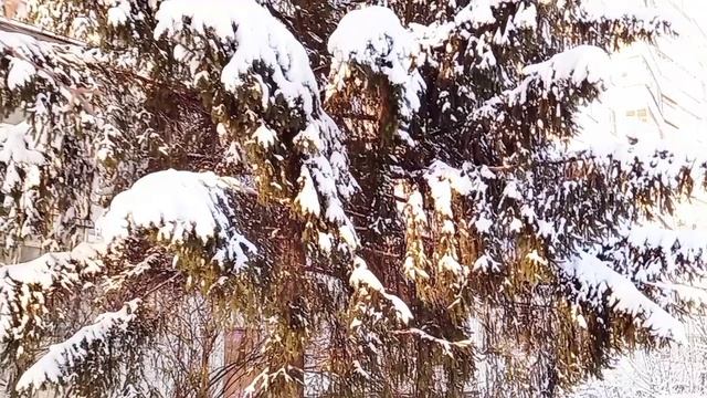 Мороз и солнце. Январь2024.