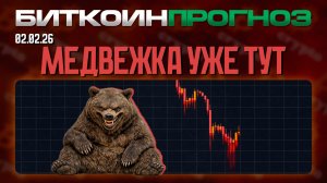 Медвежий Рынок в Разгаре!