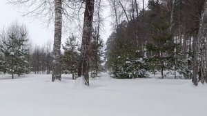 Авторское стихотворение "Снегопад".