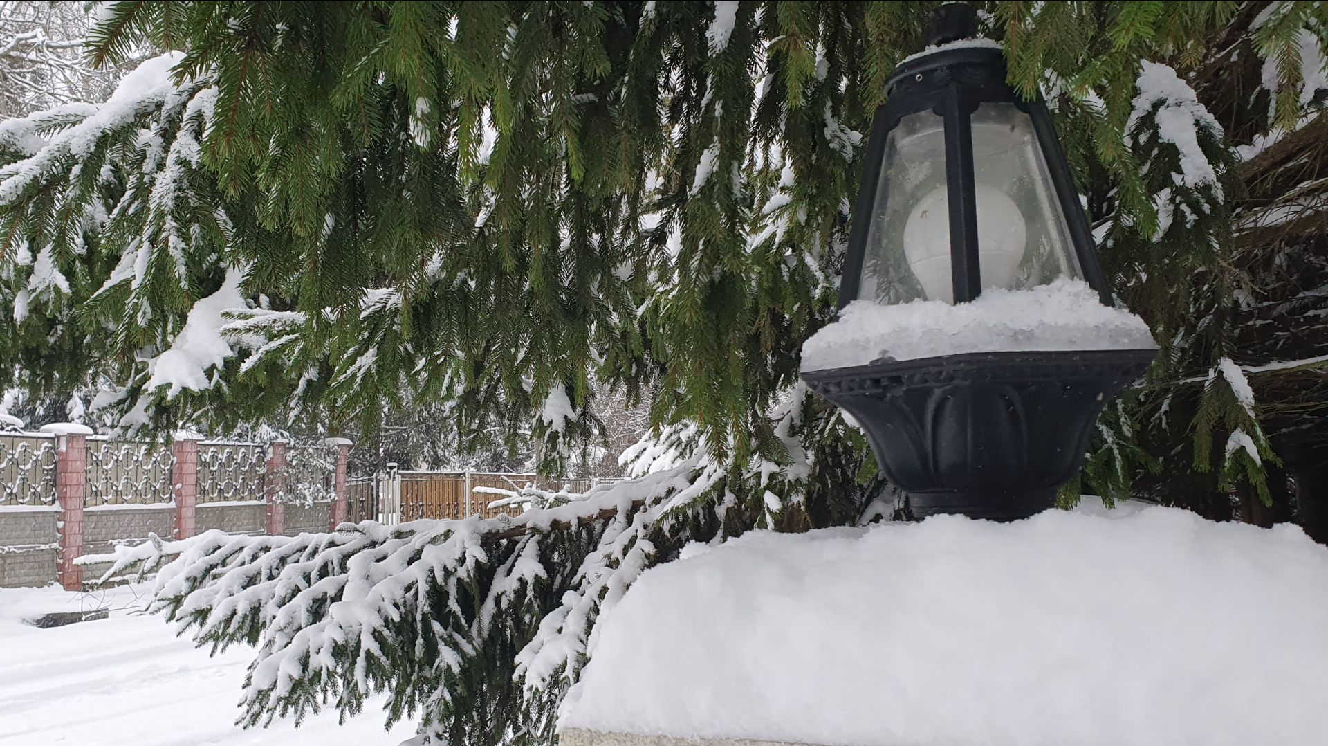 Зимнее утро. Калининград.🌲🌲🌲