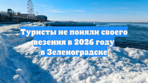 Туристы не поняли своего везения в 2026 году в Зеленоградске