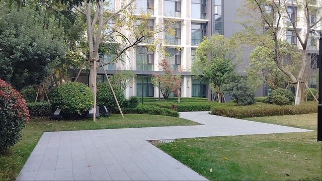 Вышли на прогулку у отеля! смотреть онлайн