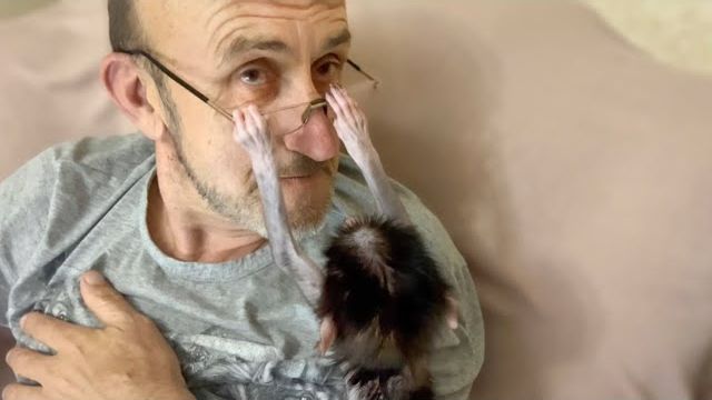 Степка пытается привлечь внимание Влада ЛЮБЫМ СПОСОБОМ! Степка пытается привлечь внимание Влада ЛЮБЫМ СПОСОБОМ!