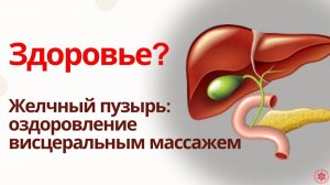 Здоровье? Желчный пузырь: оздоровление висцеральным массажем